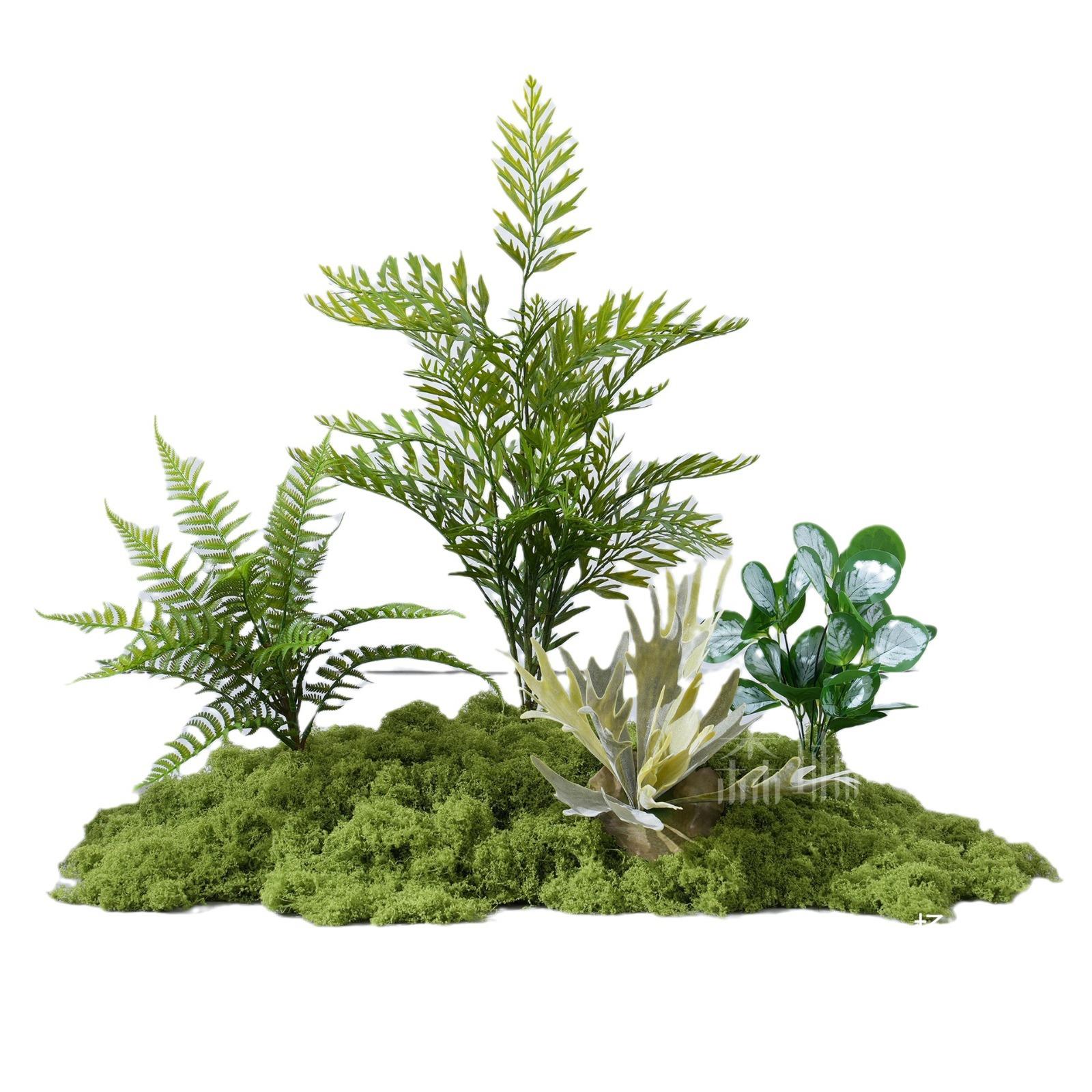仿真绿植造景饰苔藓假植物装花室内热带组合斯波橱窗tb-79155景假