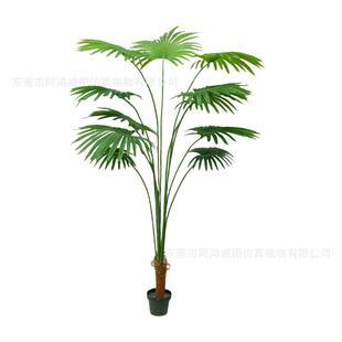 真绿植加州蒲葵仿生盆景仿物植摆件仿真加州客厅葵树散尾装饰仿真