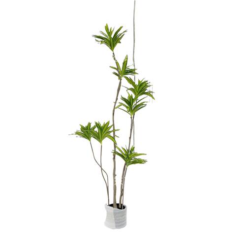 加装密仿真造绿植百合竹仿生植可弯曲型绿植YN-96景观室内物客厅