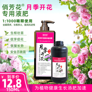 月季开花专用液肥促花延长花期减少花衰俏芳花浓缩液肥