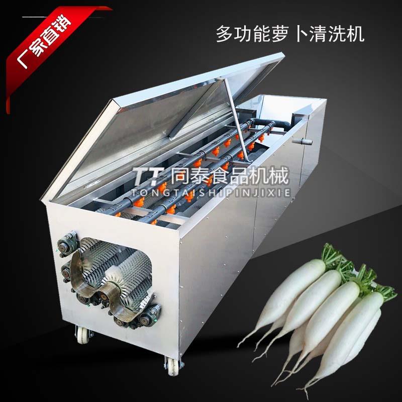 农用家用小型白萝卜清洗机毛辊洗青萝卜红萝卜胡萝卜机器设备