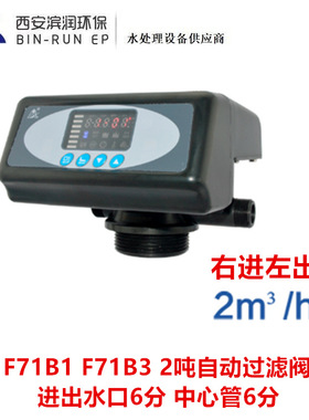 润新2吨自动过滤阀F71B1 F71B2 F71B3进出水排污口6分 中心管6分