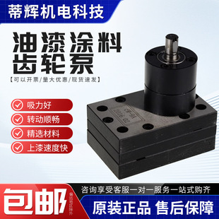 涂料泵涂料齿轮泵齿轮计量泵 油漆齿轮泵 静电喷漆齿轮泵 油漆泵