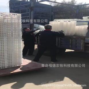 成鸡运输筐鸡运输笼子鸡筐禽用装载运输周转箱家禽运输周转箱