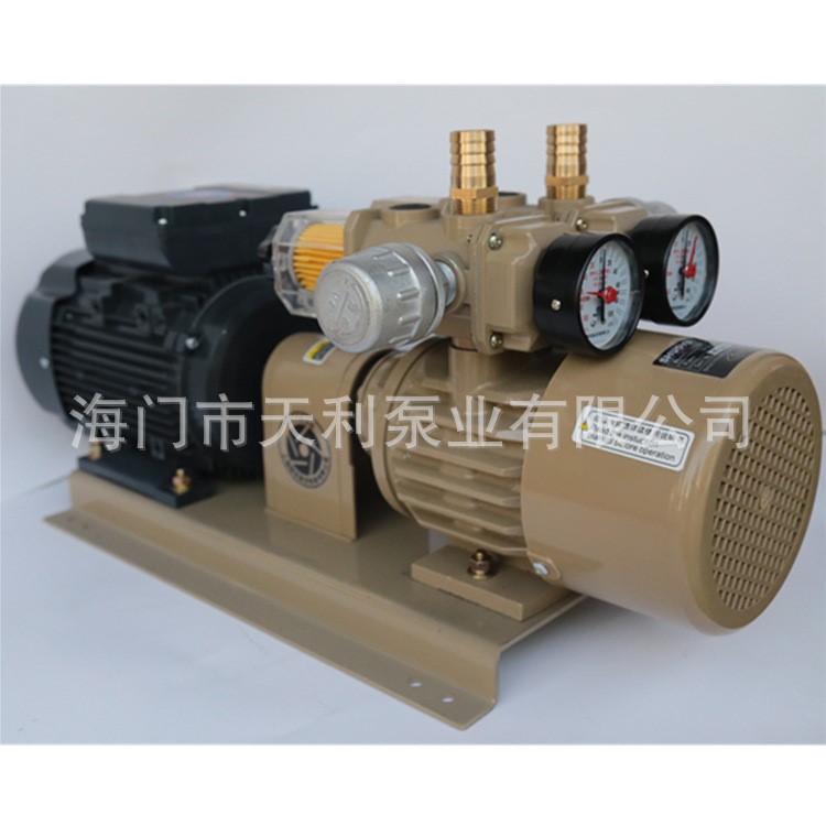 无油真空泵干泵气体捕捉泵WZB40-P-V