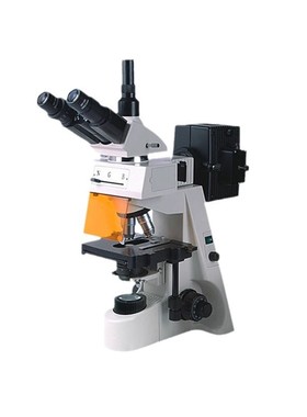 彼爱姆 BM-19AY 实验室40-1000倍三目落射荧光显微镜