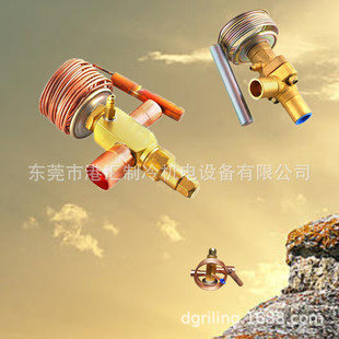 1019SZ 艾热力膨胀阀动力头默生XB