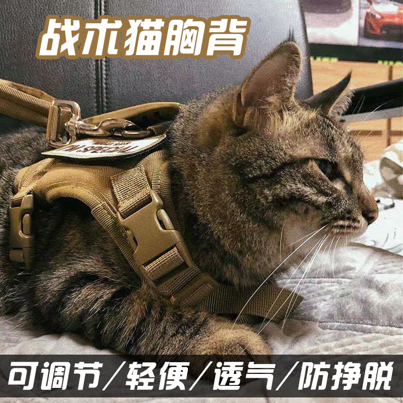 速发猫咪防脱挣外出溜猫狗小调幼犬链子可型节战术胸袋背心式