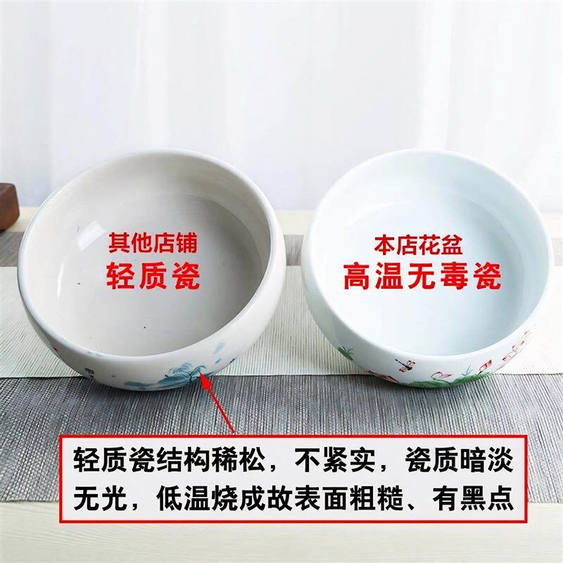 速发铜钱草花盆水仙盆睡莲碗莲无孔金钱陶瓷清仓水培水培专用多肉