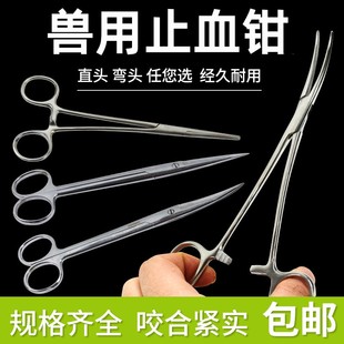 速发兽用止血钳解剖剪刀猪锈钢不牛羊兽医手术工具械器直头弯头手