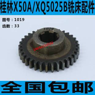 桂林铣床单联齿轮 X50A铣床单联齿轮 XQ5025B铣床单联齿轮