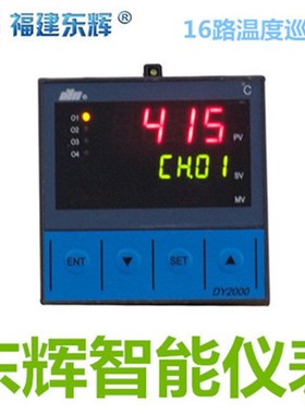 巡检仪DY21D DY29D 0016/0116/0216/0616/1016/1116/1216/1616 4M