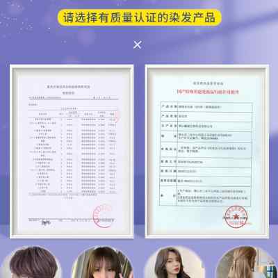 黑紫色染发剂膏植物纯染头发2022流行色显白黑醋栗紫泡泡沫女免漂