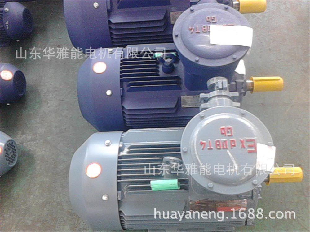 赛力盟YFB3电动机加长水线密封
