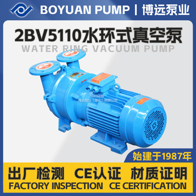 2BV5110不锈钢叶轮真空泵4kW