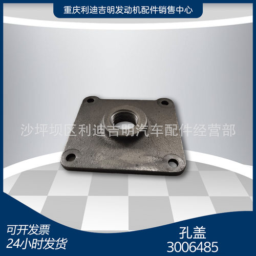 K19/K38Nt855发动机孔盖3006485
