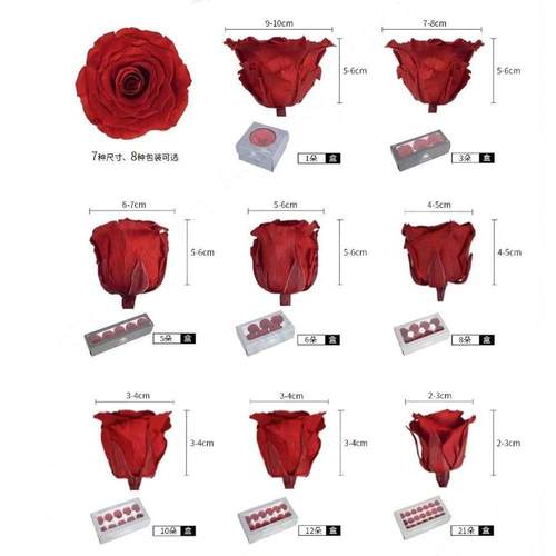 永生花迷你玫瑰花头A+品质/2-3cm情人圣诞节礼物真花花束DIY花材