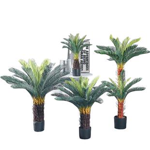 铁树苏铁树仿真绿植室内外轻奢风装饰盆栽落地摆件假树植物盆景
