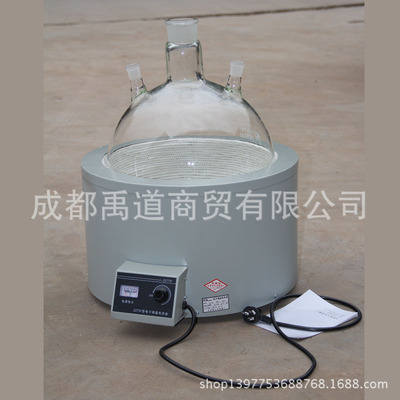 电子调温电热套DZTW250 5001000 2000 10000 20000 50000ml