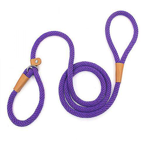 Dog Collar Slip Lead Dog Leash Nylon Solid Rope Leash