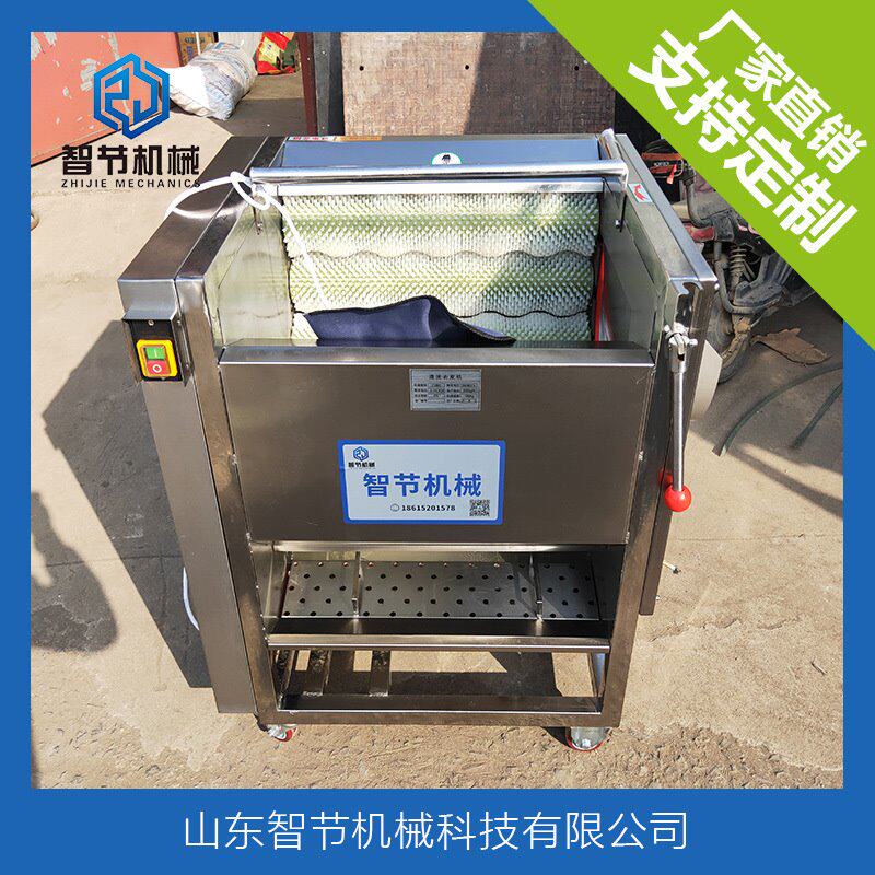 毛刷洗菜机不锈钢毛辊清洗机滚动式 供应连续式球根茎洗菜机