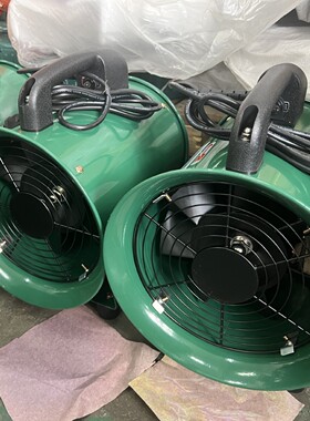 Hr 8寸 110V出口贸易绿色便携车间大风通风换气手提风机轴流通风