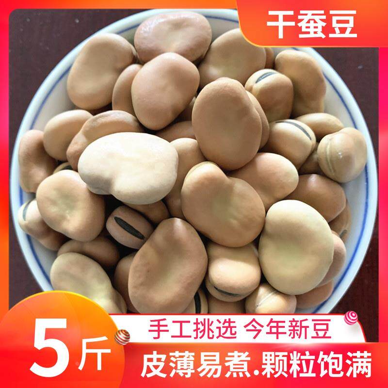 新蚕豆干蚕豆5斤生蚕豆胡豆农家自产新货新鲜五谷杂粮可发芽粗粮