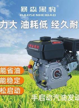 170F190发F直31659汽油机动机动力四冲程微耕机机头打膨谷化切割