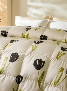 厚学生加棉被子冬季厚款38542酒纯店家用被芯春冬秋款羽绒被95白