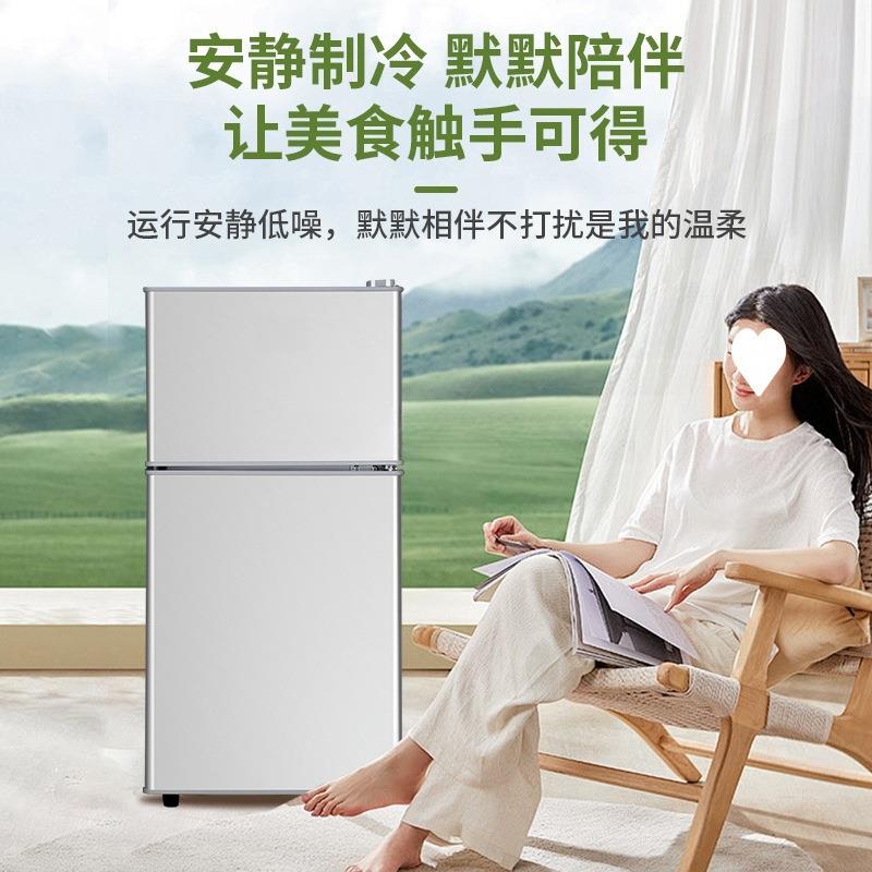 一级效小6冰箱二家人用小型出租房宿舍用能迷你双79877门电冰箱35