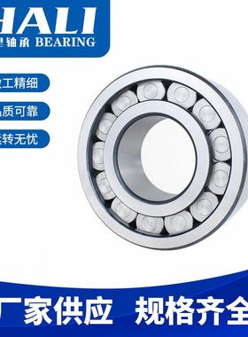 高承重加厚满滚柱2圆柱滚子轴SQODL19320承SL3192322SL19228轴承