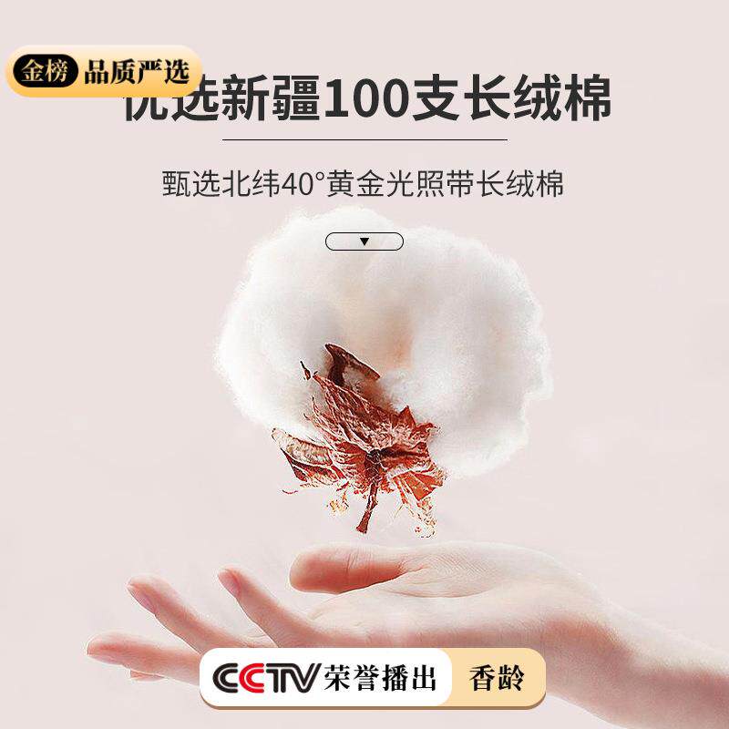 00s全棉贡缎24784隔脏酒店睡袋旅成人1床被罩外出差行便携式卧铺