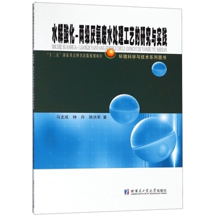 正版 研究与实践马文成哈尔滨工业大学出版 水解酸化两级厌氧废水处理工艺 图书 社