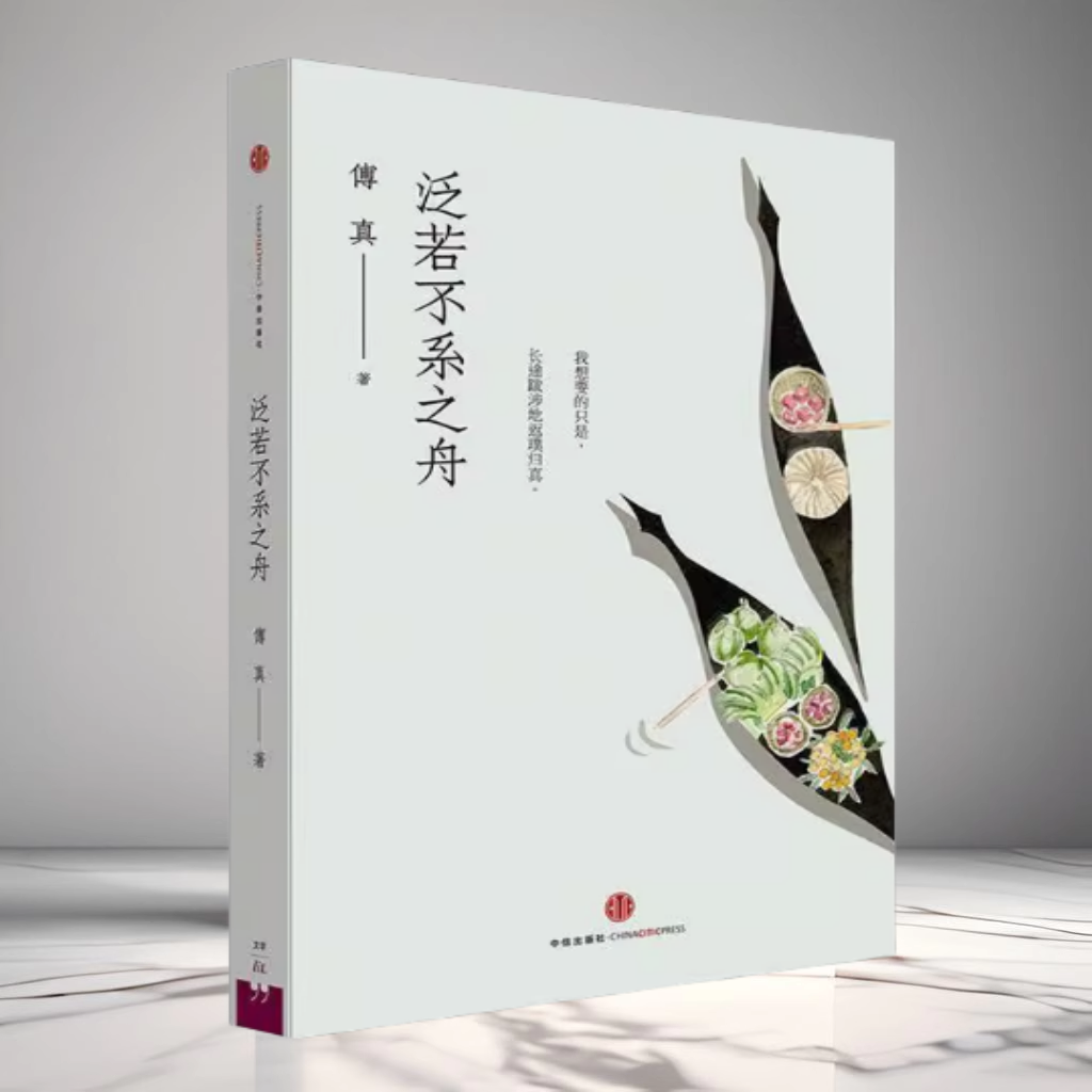 正版现货 泛若不系之舟 傅真著最好金龟换酒藏地白皮书 中信出版社9787508645483