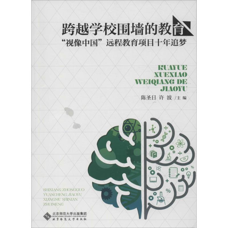 保正版现货 跨越学校围墙的教育视像中国远程教育项目十年追梦陈圣日许波北京师范大学出版社