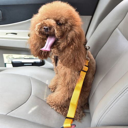 好货Adjustable Dog Cat Car Safety Belt Pet Car Seat Belt Lea