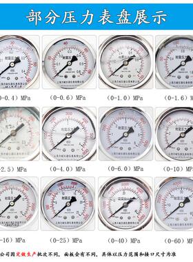 4P抗1耐压震力N-6表0油表2分震/T压表16.M压P力a上峻海方Y