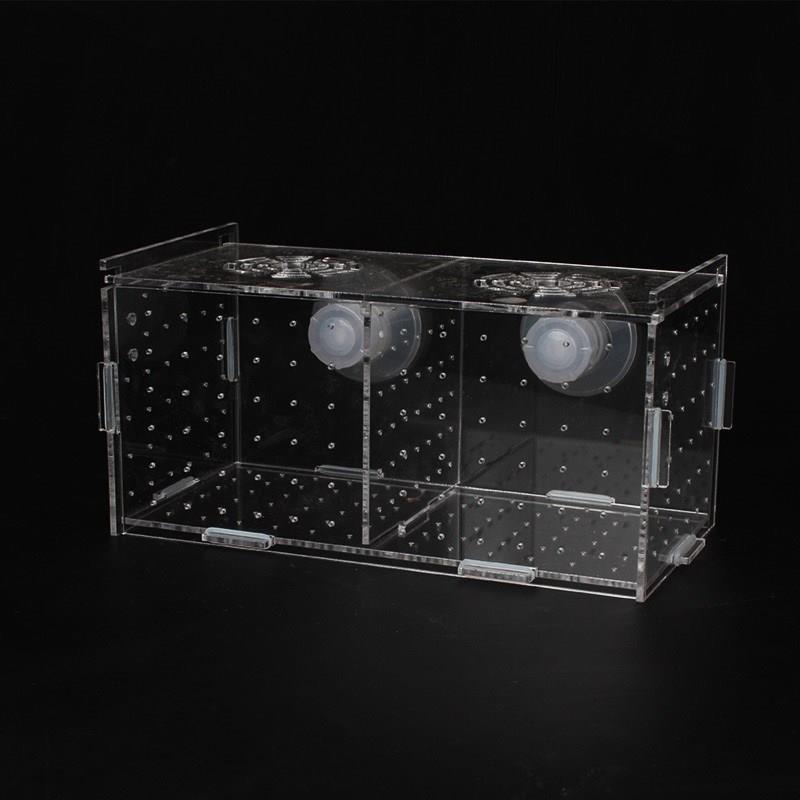 迷你鹦鹉鱼繁殖隔离盒孵化盒鱼缸隔离盒产卵器鱼卵繁殖箱小鱼产房