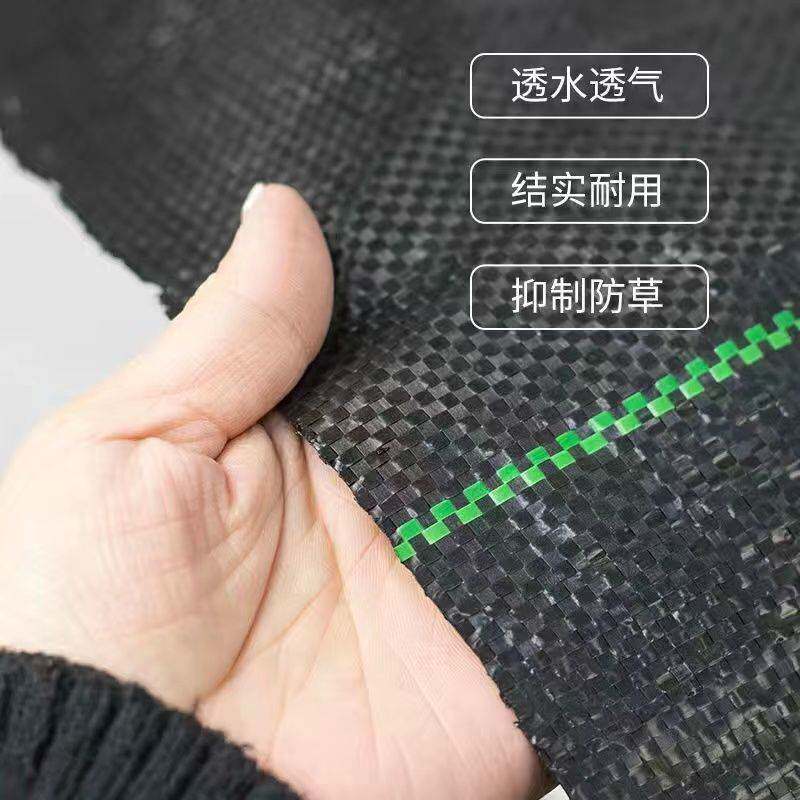 防草布除草布园艺地布盖黑色农用果树园遮抑草地膜抗老化PE