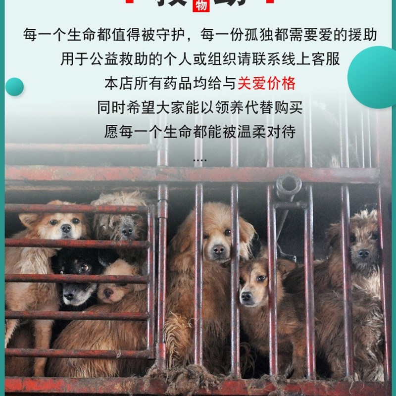 狗狗犬用冠状p病毒抗原测试纸CCV检测卡快速测试版卡检测