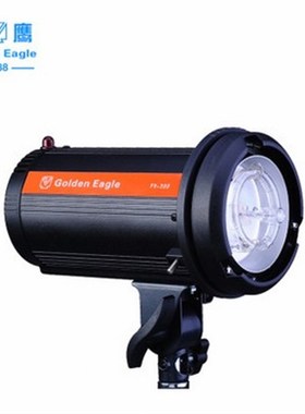 金鹰FX300W 摄影灯影室灯摄影棚闪光灯服装产品人像拍摄 双灯套装