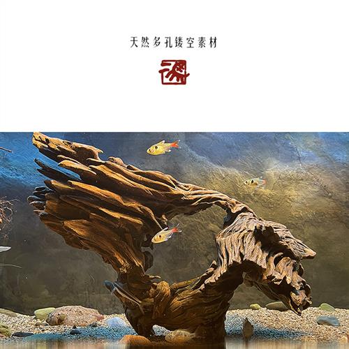二马蜂窝木虾木镂空躲避屋 中小型小号沉木 鱼缸造景雨林多孔定植