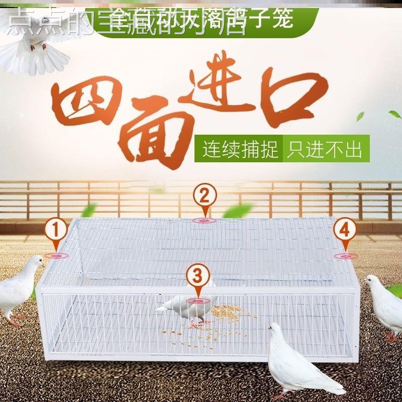捕鸽神器抓鸽子笼全自动抓鸽屋顶鸽子回收神器撞门只进不出。