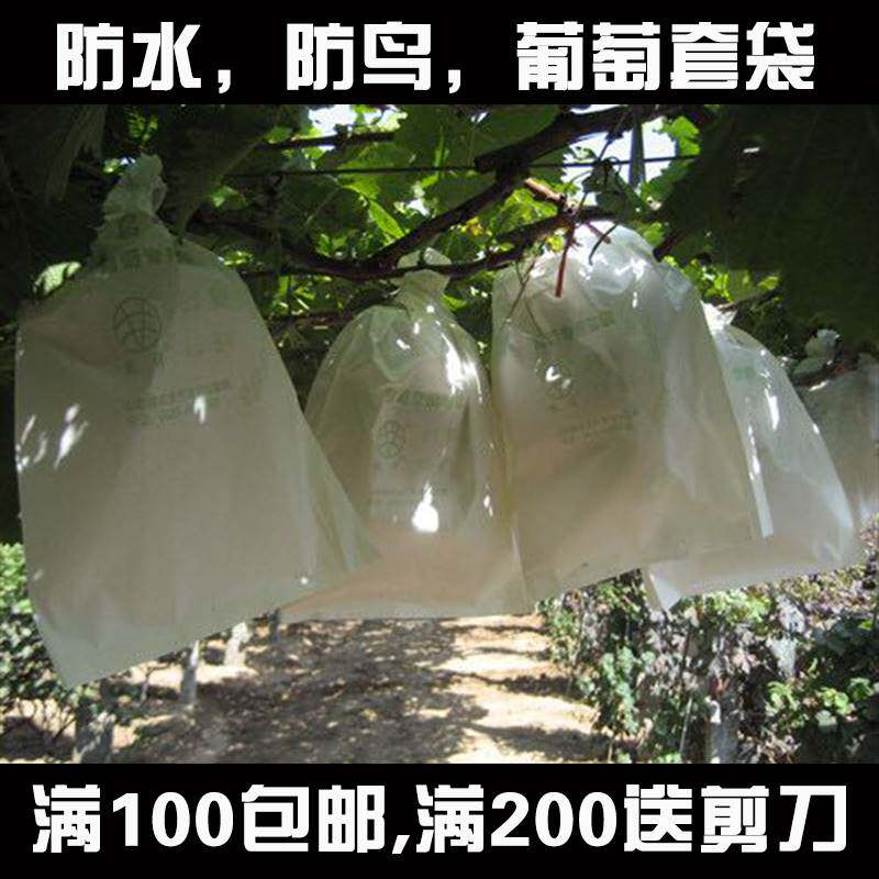 极速包葡萄袋子透气环保防尘提子袋木浆纸袋萄葡纸袋大号专用套袋