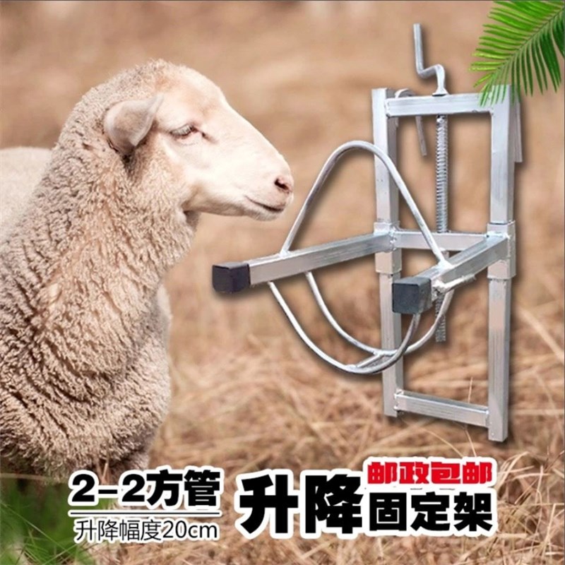 剪羊毛羊头架子升降调节打针输液挤奶配种打羊毛推毛羊头固定架