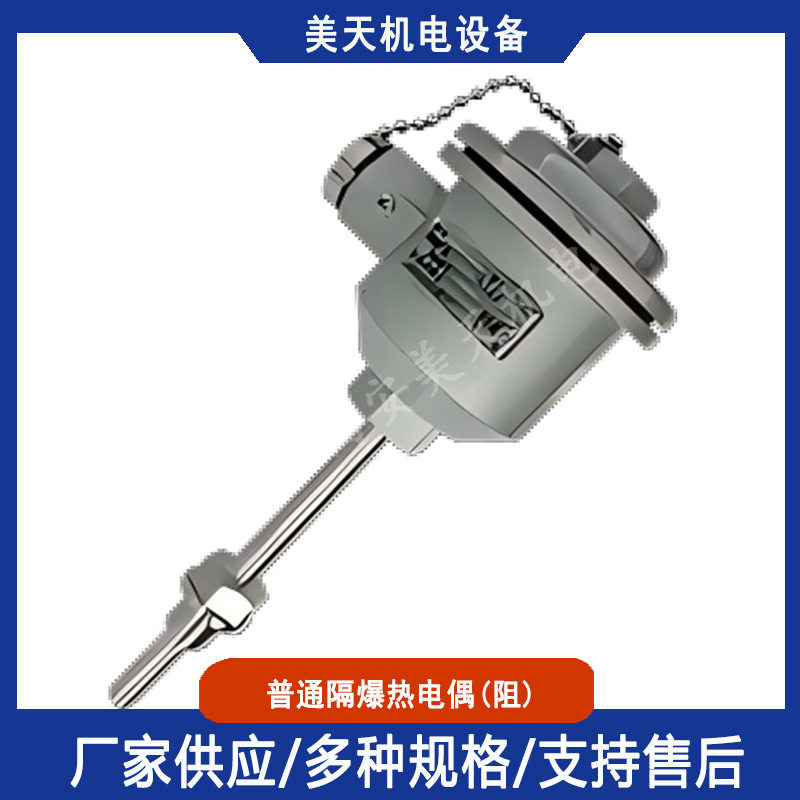 普通隔爆热电偶性WRN性能稳定操作简单一体化防爆热电阻