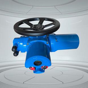 SLM20-36LTC伯纳德200Nm推力型阀门电动装置SLM20-36LTN