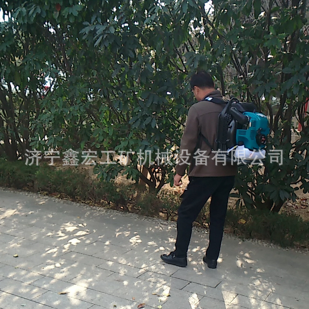 背负式大棚吹雪机 背负式两四冲程汽油吹风机 吹风机