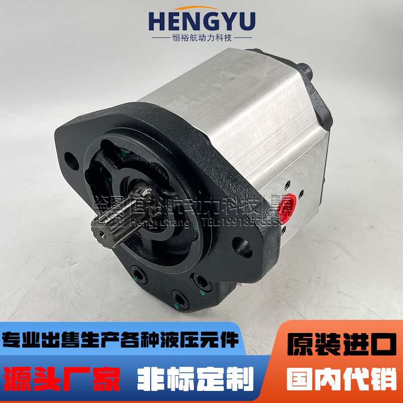 恒裕航齿轮泵布赫BUCHER液压泵AP300 AP100 AP200泵AP212油泵高压