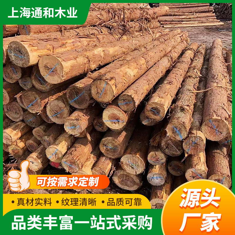 杉木桩河道驳岸打桩木批发护坡护堤工程木桩削尖柳杉香杉林场直发